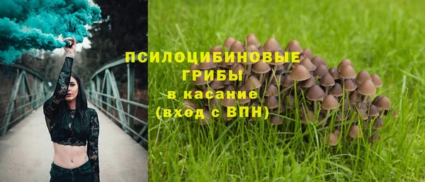 ГАЛЛЮЦИНОГЕННЫЕ ГРИБЫ Пестово