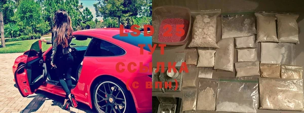 a pvp Пересвет