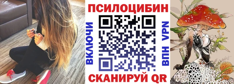 даркнет сайт  Сельцо  Псилоцибиновые грибы Psilocybe 